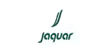 jaguar-desktop-1646230644-KpiIX